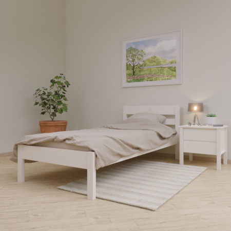 Standard üheinimesevoodi 80x200