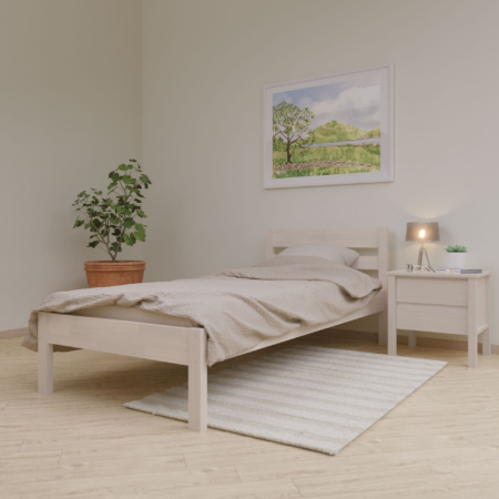 Standard üheinimesevoodi 120x200
